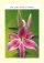 On Your 80th Birthday Card - Pack of 6