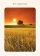 New Beginnings Card - Pack Of 6