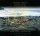 New Irish Hymns 4 Cd