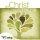 In Christ Alone Worship Disciple Series CD Set