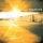 Starfield Cd