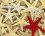 Starfish Mouse Mat -  