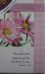 Easter Blessings - Pack of 5 Cards -  
