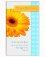 Easter Blessings - Pack of 5 Cards -  