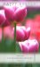 Happy Easter - Pack of 5 Cards -  