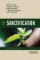 Five Views on Sanctification -  Melvin E. Dieter;Anthony A. Hoekema;Stanley M. Horton;J. Robertson McQuilkin;John F. Walvoord