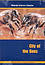 City of the Bees DVD -  Moody Video