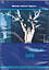 Facts of Faith DVD -  Moody Video