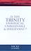 Searching Issues: Is the Trinity Unbiblical, Unbelievable and Irrelevant? -  Nicky Gumbel