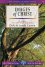 LifeBuilder Images Of Christ -  Dale Larson;Sandy Larson