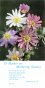 Mothering Sunday Bookmark 875 Asters -  