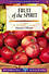 Lifebuilder Bible Study: Fruit of the Spirit -  Hazel Offner