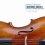 String Heaven -  Kings Chamber Orchestra