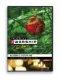 iWorship Resource System DVD Christmas