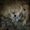 Storm The Gates Of Hell CD
