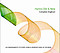 Hymns Old & New Accompaniment CD