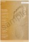 Footprints Poster
