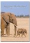 Happy Birthday Cards - Pack of 4