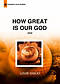 How Great Is Our God DVD