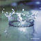 Enthroned CD
