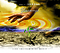 Yearnings CD