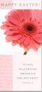Happy Easter - Pack of 5 Cards