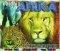 Worship Africa CD Plus Bonus DVD