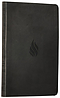 ESV Thinline Bible: Midnight Flame, Imitation Leather, Anglicised