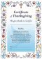 Certificate of Thanksgiving Blue - Pack of 20