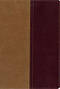 KJV and Amplified Side-by-side Bible