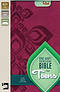Bible For Teens