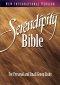 NIV Serendipity Bible: Hardback