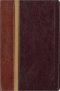 Message Parallel Study Bible-PR-NIV/MS-Numbered Personal Size