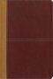 KJV/Amplified Large Print Parallel Bible: Camel/Rich Red: Italian Duo-Tone�, 