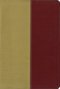 KJV / Amplified Parallel Bible: Gold/Rich Red: Italian Duo-Tone�, 