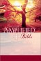 Amplified Large Print Bible: Hardback