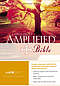Amplified Large Print Bible: Burgundy, Bonded Leather