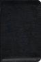 TNIV Personal Bible: Black, Bonded Leather, Zip Fastening (British text)