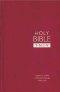 TNIV. Personal Bible: Burgundy Imitation Leather