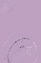 TNIV Youth Bible: Lilac, Hardback, Anglicised