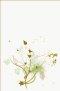 TNIV Personal Bible: Green Soft Tone, Hardback, Anglicised