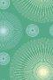 TNIV Personal Bible: Green, Satin Spirals, Hardback, British Text