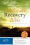 NIV Celebrate Recovery Bible: Hardback