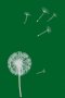 NIV Bible in One Year: Hardback (British Text)