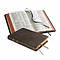 NASB Pitt Minion Reference Edition NS446XR Brown Goatskin Leather