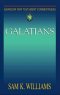 Galatians : Abingdon New Testament Commentaries