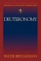 Deuteronomy : Abingdon Old Testament Commentary