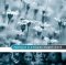 Moving Forward in a Mission-shaped Church - pack of 5 leaflets