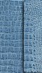 NCV Checkbook Bible: Alligator Aqua , Bonded Leather