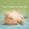 Cattitudes To Live By